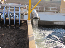 Quy trình xử lý nước thải