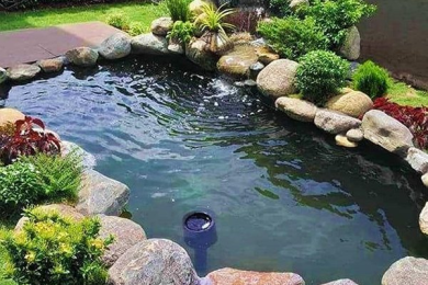 Hồ cá Koi mini Biệt thự Nam Viên Phú Mỹ Hưng